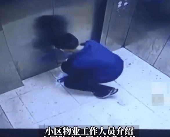 男孩利用电梯吊死宠物狗,引起众怒,家长却责怪物业曝光视频