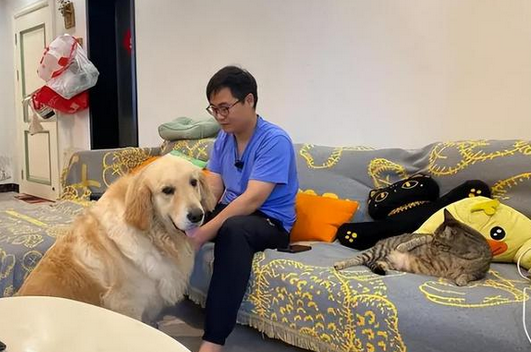夫妻救助2只狗被判犯盗窃罪,好心没好报还是误会