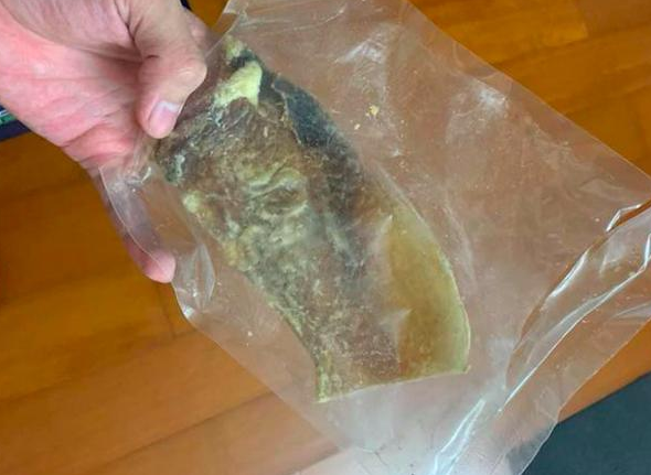 小狗因吃完骨骼零食而送命,原先狗狗吃骨头,会出现这么大的风险性!