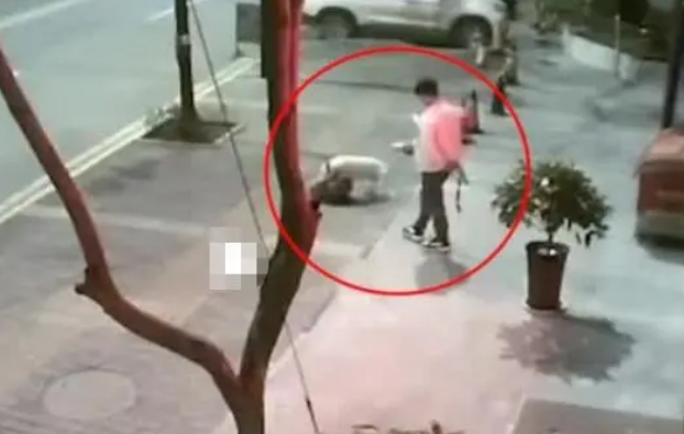 不戴口罩、不牵狗绳?男子遛狗纵容流浪狗被咬死网友:严惩