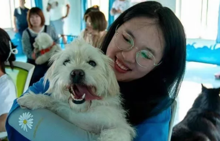 济南诞生首家文明养犬宠物培训学校