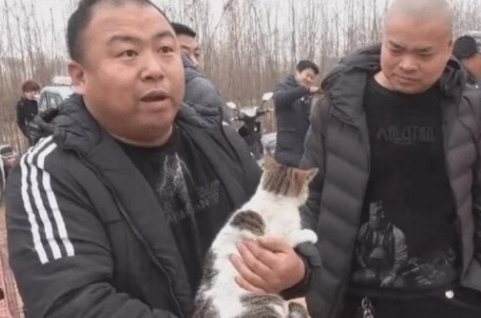 猫咪走失主人苦寻,却在狗市意外相遇,相认时刻笑坏周围人