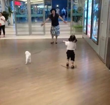 小女孩牵着狗狗接外婆,结果外婆抱起了狗子,女孩:它是亲生的!