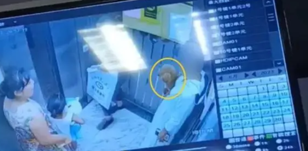 不栓狗绳的狗主人,在电梯里因宠物狗被叫“畜生”怒了?