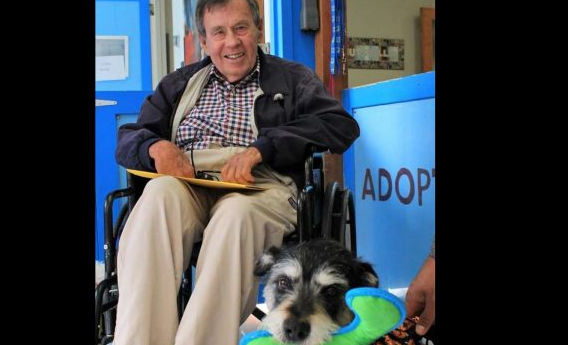 在停止呼吸前为爱犬找到新家 渐冻人无憾离开人世