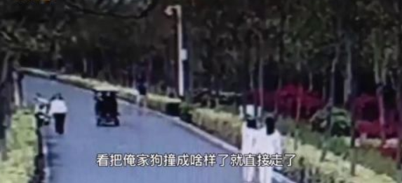 遛狗不拴绳致骑车男孩摔骨折,狗主人的反应让网友不淡定了