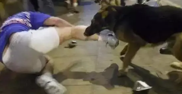 柳州一村民好心“收留”流浪狗,却因狗咬人致狂犬病身亡被索赔32万