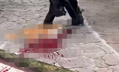 小区物业当众打死流浪狗引争议 目击业主:小狗被驱赶后才咬人,物业行为过于粗暴
