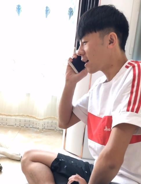 哈士奇已经拆玩具,一听见主人给狗肉馆通电话,立刻发生变化一条狗