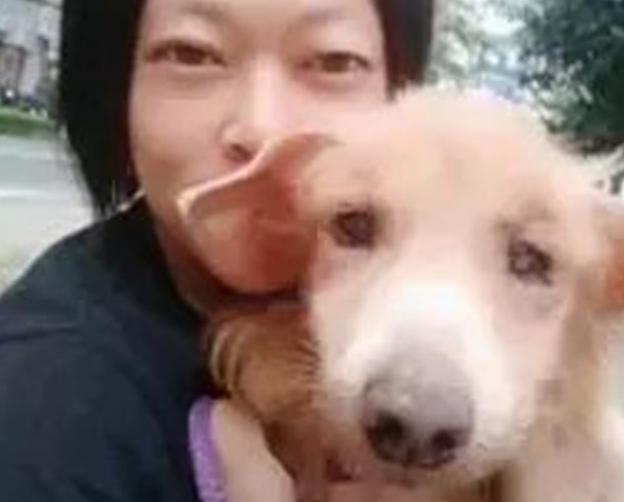 导盲犬被遗弃垃圾堆旁,口腔癌已无法进食,好在有人及时伸出援手