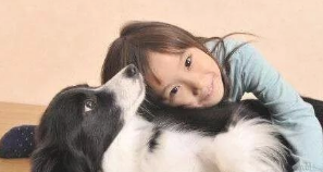 主人怎么让狗子愈来愈信赖???