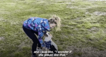 原来狗子也爱冒险，狗子刚到家时胆小如鼠，没多久就开始...