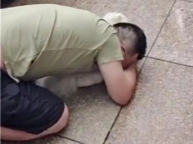 宠物狗被撞死,男主人用头碰车,女主人哭晕