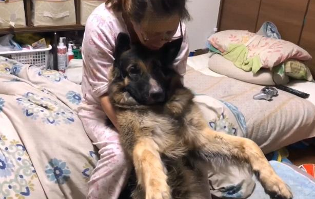 德牧从小跟主人一起睡,一年后还当它是奶狗,好委屈
