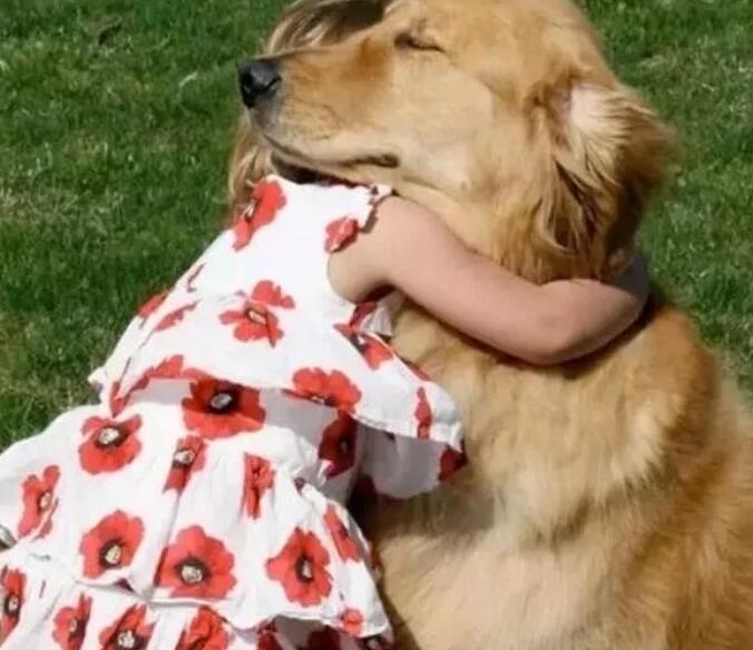 孩子与狗狗真的不能共存吗?看看国内外专家是怎么说的!