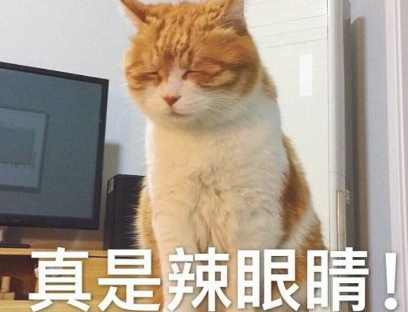 老公给狗狗冼澡,好长时间也没有出去,女子进洗手间一看,真的想一脚踢飞!
