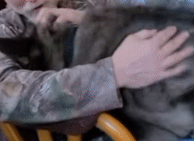 看到主人在游戏里撸狗，狗子气炸直接开骂，这是连电子醋都吃？