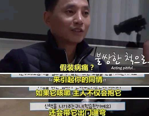 你知道你的狗子为了出去玩 有多拼吗?