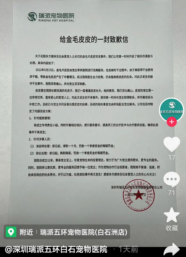 深圳一宠物狗洗澡后,疑因烘干不当死亡?宠物医院回应