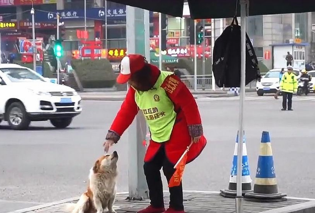 忠犬殡仪馆外守主人3天，听到旧事便流泪！网友们大赞：好有灵性