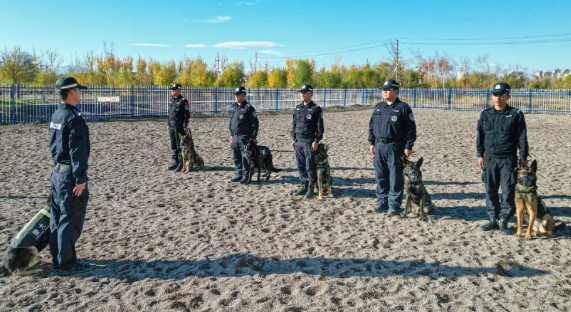 又飒又勇!野外拉练促实战 警犬特警练兵忙