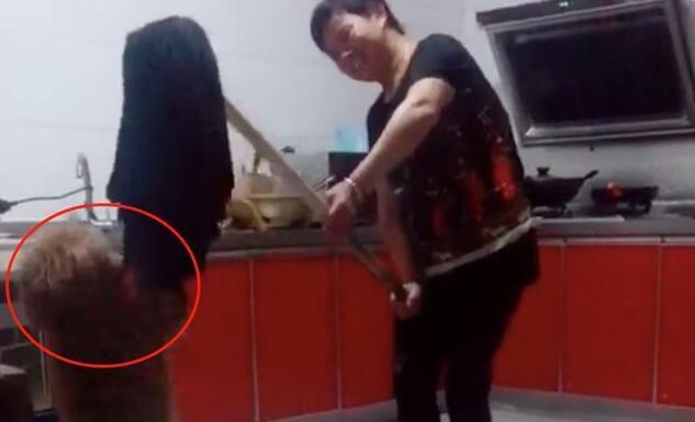 主人模仿网上剪毛方式,狗子却不淡定了:别看某音了!