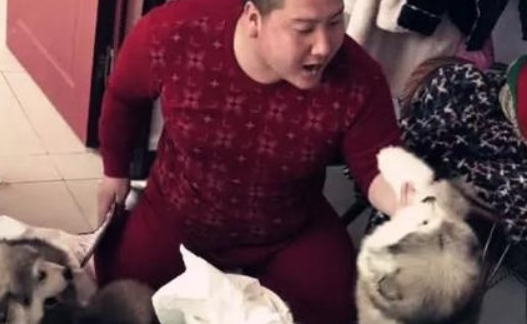 主人亲自给狗狗做示范性,连自身都打,笑坏掉网民