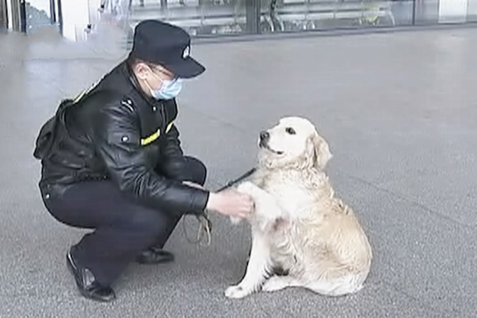 巡查犬发觉一个小孩子在抽泣,公安民警掌握后禁不住赞美:也太厉害了吧