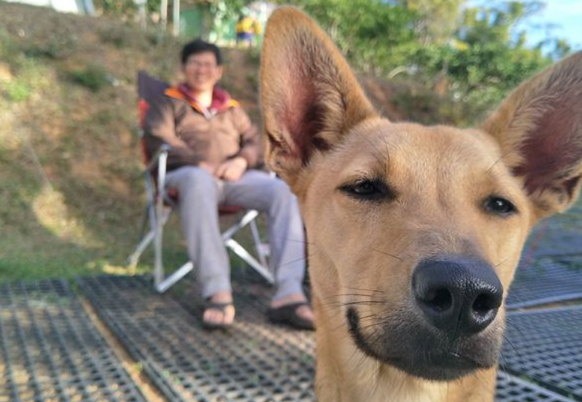 唐狗突然冲入全家福镜头，顿时爱犬成最大亮点