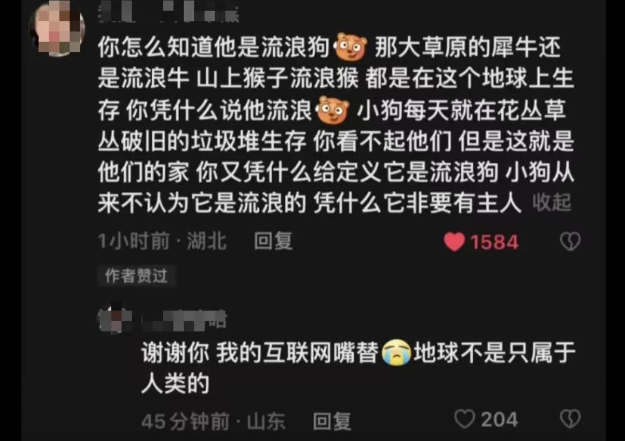 我为流浪狗发声!抵制大规模捕杀流浪狗!