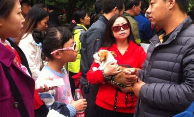 宠物狗禁入起争执,一家10口驾车千里到九寨沟未游负气而归