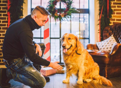 当主人踩到狗vs当狗踩到主人，噗哈哈哈心疼铲屎官！