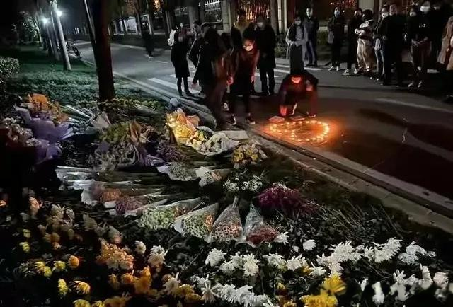 我的狗不咬人,别怕