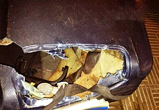 狗狗被人强行封进行李箱,当大爷撬开行李时,瞬间瞪大双眼!