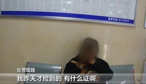 环卫工被狗拌了一下 狗主人给我的狗三鞠躬道歉