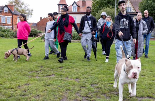 英国巨型恶霸犬频繁伤人致死!政府欲颁禁令,反引抢购潮?
