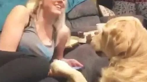 傲娇了8年的秋田犬,近期老想跟父亲一块儿睡,你還是我以前了解的你不?