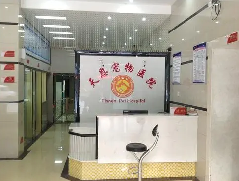 宠物医院帮助流浪猫吗 | 浏阳宠物医生单骑两万里一路救助流浪猫狗30余只