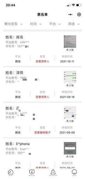 800元的柴犬、500元的布偶猫,我来到了宠物们的“人间炼狱”