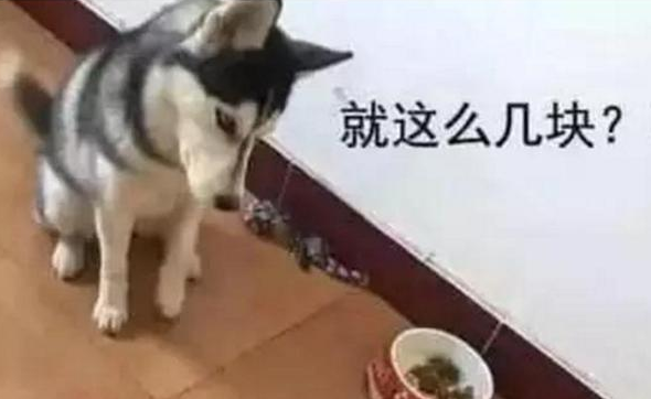 主人家想让二哈减肥瘦身,饭里少放了几片肉,二哈冲着主人家作出这小表情