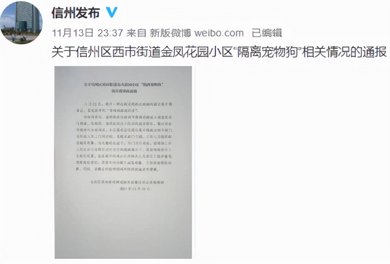 “隔离宠物狗被扑杀”,别拿别人的宠物当畜生