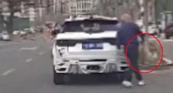 男子停车后将两只狗遗弃,狗狗还以为是出来玩的,高兴在原地跳