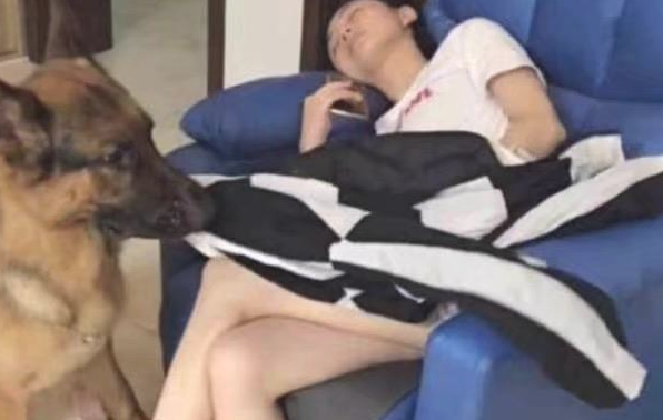 狗狗趁漂亮美女入睡做这样的事情,男朋友见到后一脸难堪,网民:真贴心