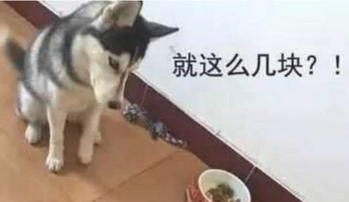狗粮快完了就给金毛少放了一点儿,没想到二哈嫌少,还不吃了!
