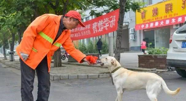 环卫大爷无意救下幼犬,路人主动提出收养后,大爷恳请善待狗狗!