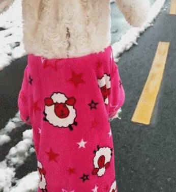 狗狗和主人去堆雪人,输掉以后,那样耍无赖不愿回家!