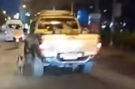 狗狗追着一辆车跑到脚出血,过路人追向前买车人却丢下一句话扬长而去