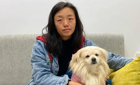 小白狗子宫脓从发现至手术成功主人的心路历程状态风雨后见彩虹