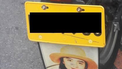 柴犬坐车兜风,已经看穿某些偷拍,还提示不要看我,看路