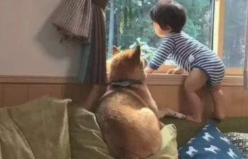 狗狗和小主人变成忠实,连入睡都相同睡觉姿势,交往技巧,羡煞他人